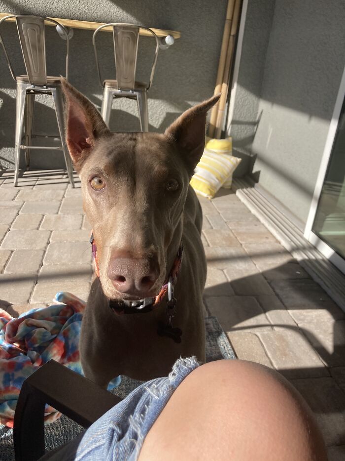 Charlotte In The Sun