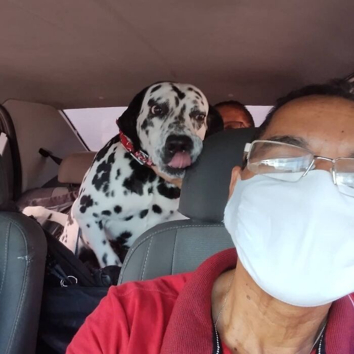 40 Selfies This Guy Has Taken With The Passengers Of His “Pet Taxi” Business