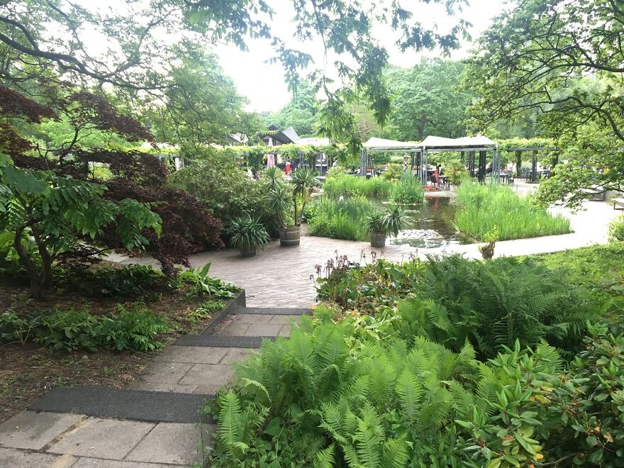 From A Botanical Garden