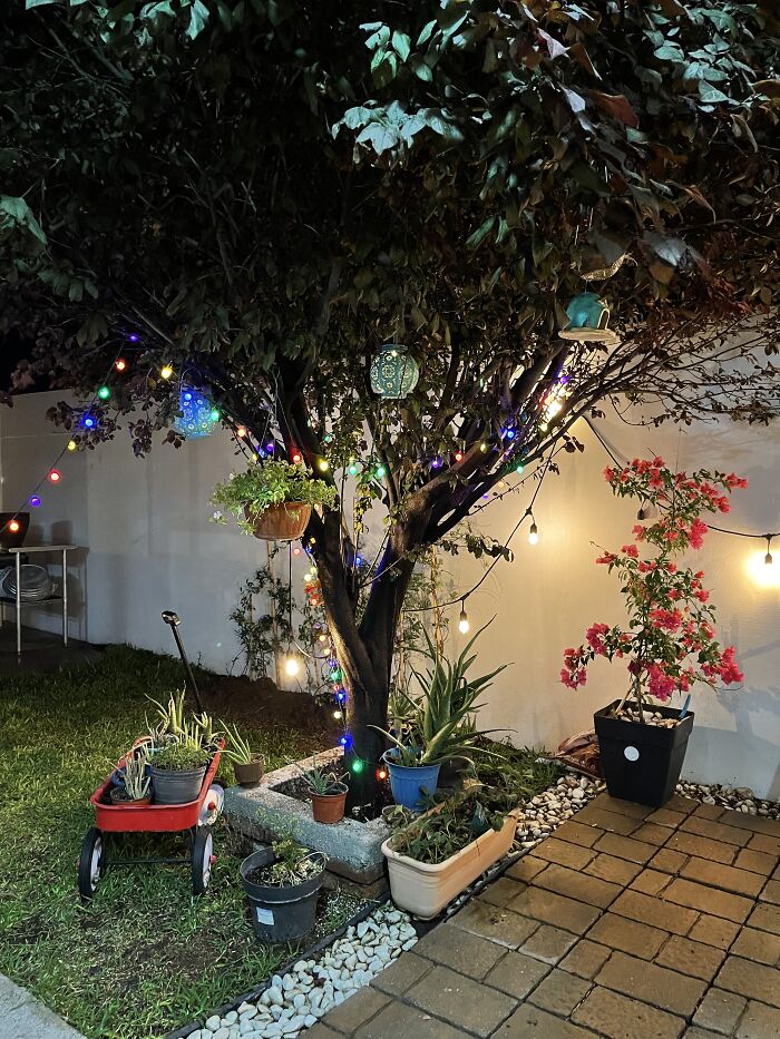 When I'm Tired At Night, I Sit Here With My Cats.