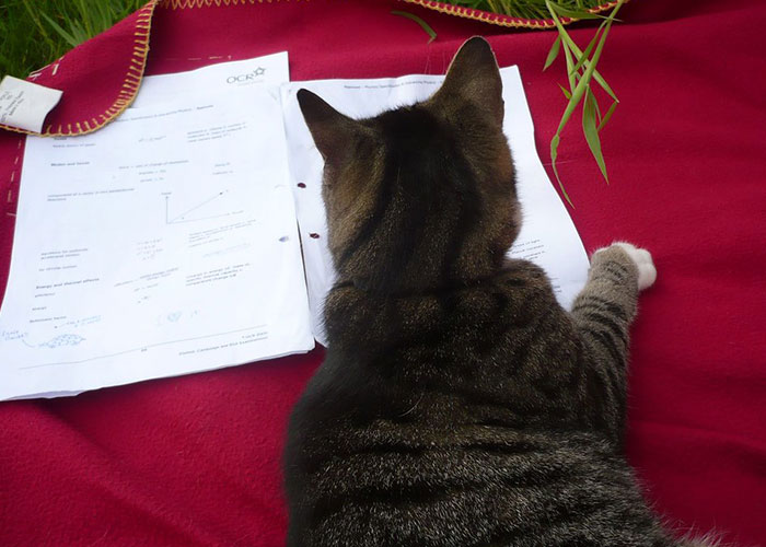 People Feel Like They’re “Unlocking 100% Of Their Brains” By Using The Bionic Reading Font People Feel Like They’re “Unlocking 100% Of Their Brains” By Using The Bionic Reading Font