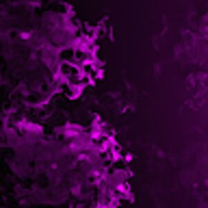 shaharmeshulam-weiss avatar