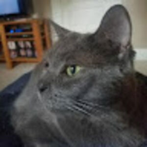 kendallandrews avatar