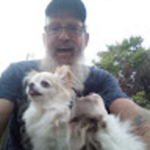 donnamusselman avatar