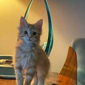 thesandrajay3 avatar