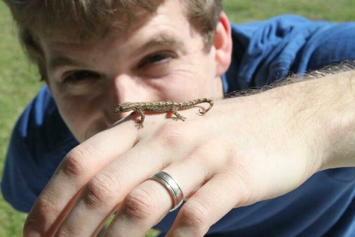 Was In Hawaii When This Guy Fell On Me. Even Lizards Are Cute If They're Tiny, Right
