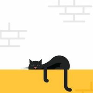 mingalar_aung_tin avatar