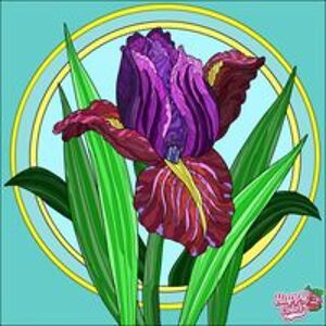 adrienne_de_cerce avatar