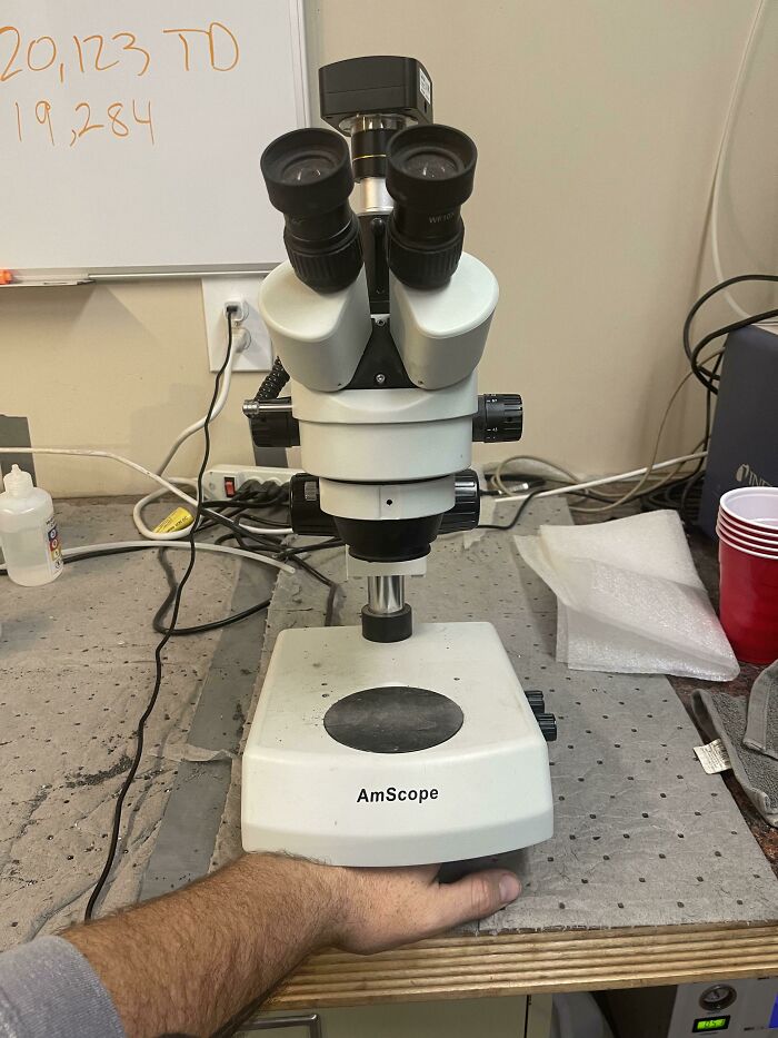 Así se ve una mano humana bajo un microscopio
