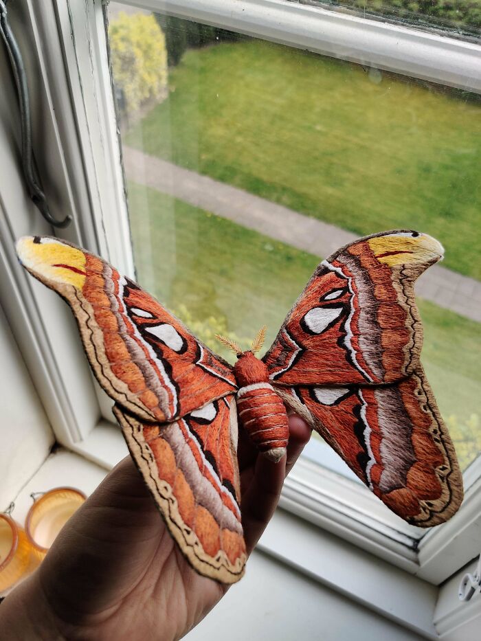 Finished My Most Ambitious Project To This Day. I Present To You My True To Size 3D Atlas Moth