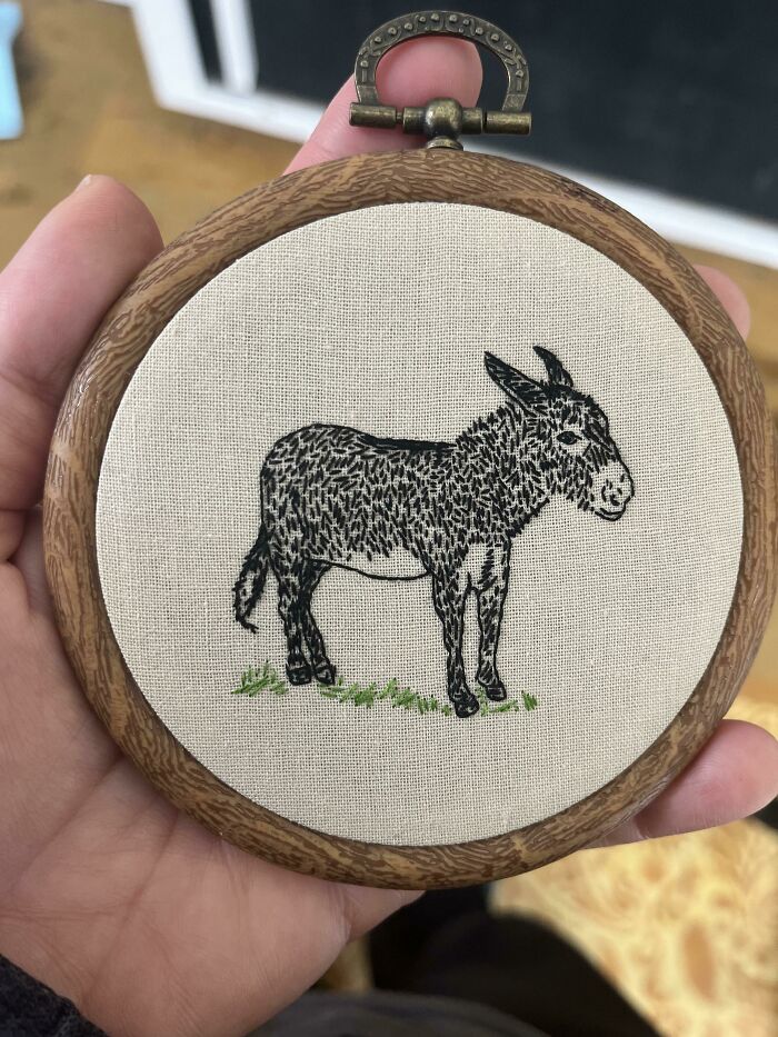 When A Friend Asked Me To Stitch A Donkey I Had My Doubts, But Now I Think I’m In Love With Him