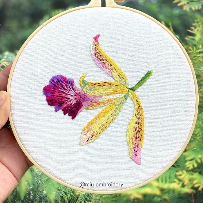 1 Strand, 20 Colors And 8 Hrs Of Work, A Colorful Orchid Blossomed