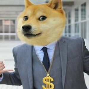 rushil_bhawsar avatar