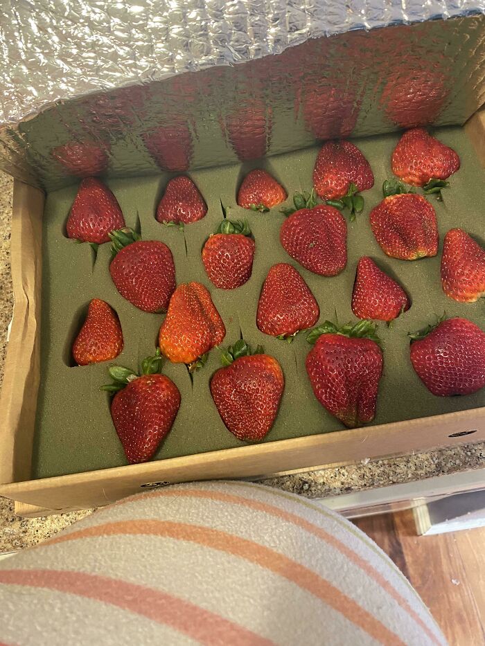 My Grandma Sends Me Fruit In The Mail Because I’m Pregnant. Today It’s Strawberries