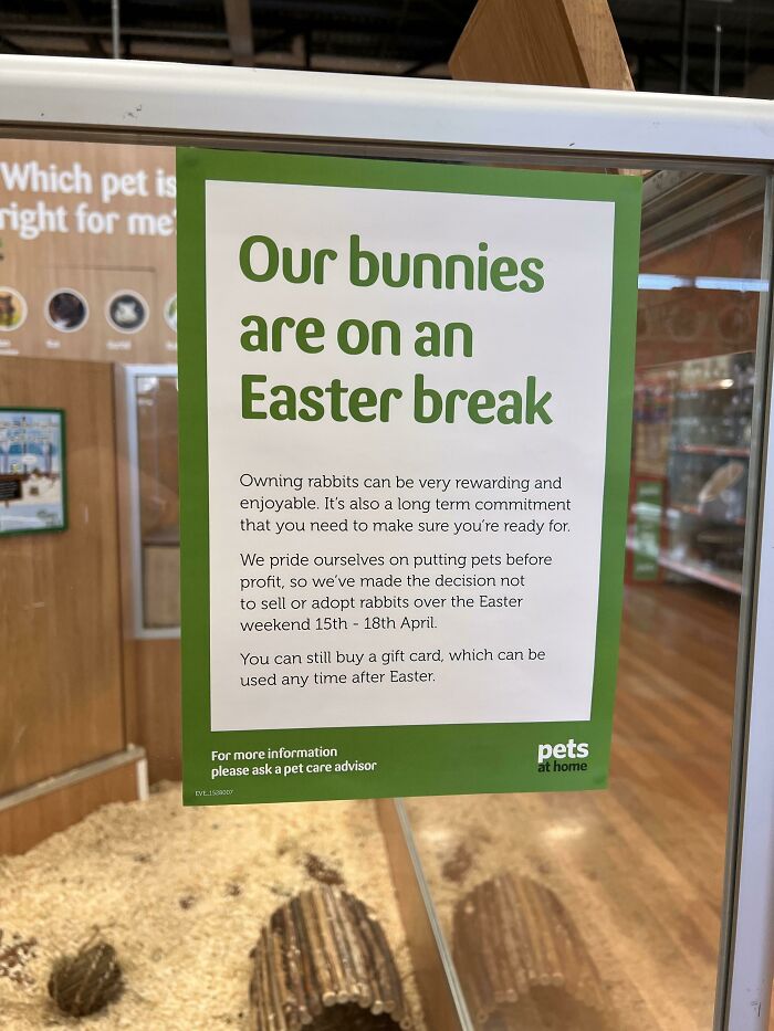 This Pet Shop Don’t Sell Bunnies At Easter