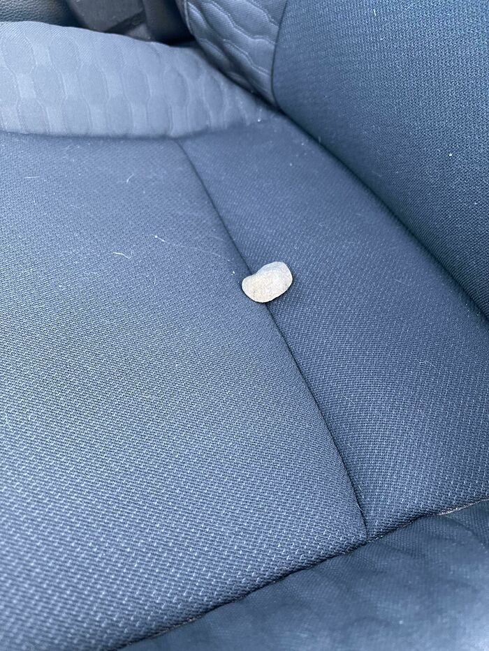 My 9-Year-Old Found This Rock A Month Ago And It Became His “Lucky” Rock. He Takes It Everywhere. Today I Have An Important Job Interview And I Found His Rock On My Seat
