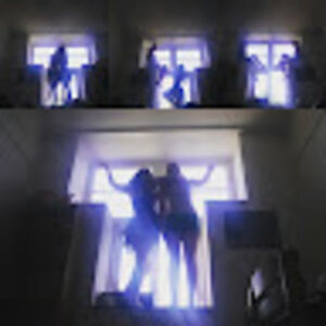 rosaliesavelkoul avatar