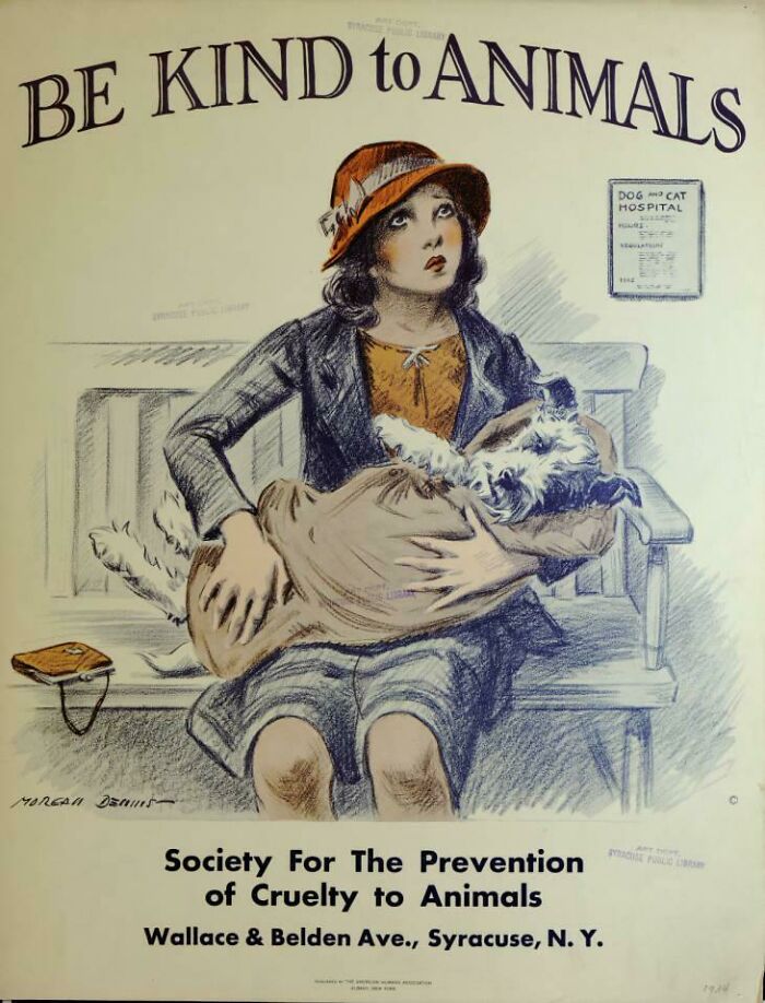1934 Ad By The ‘Society For The Prevention Of Cruelty To Animals’