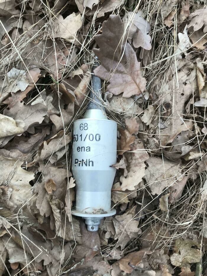 Went Hiking In The Forest And Found An Unexploded Anti-Tank Grenade Just Lying Around. What. The. F**k