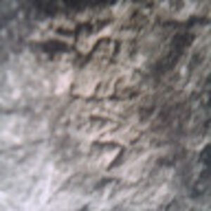 charlesangell avatar