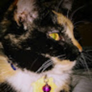 dustyrichards avatar