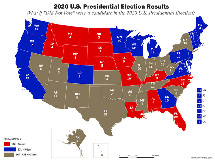What If "Did Not Vote" Were A Political Candidate During The 2020 Presidential Election?