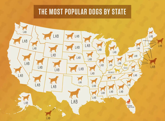 Most Popular Dog By US State...