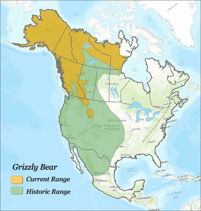 Grizzly Bear Historic And Current Range