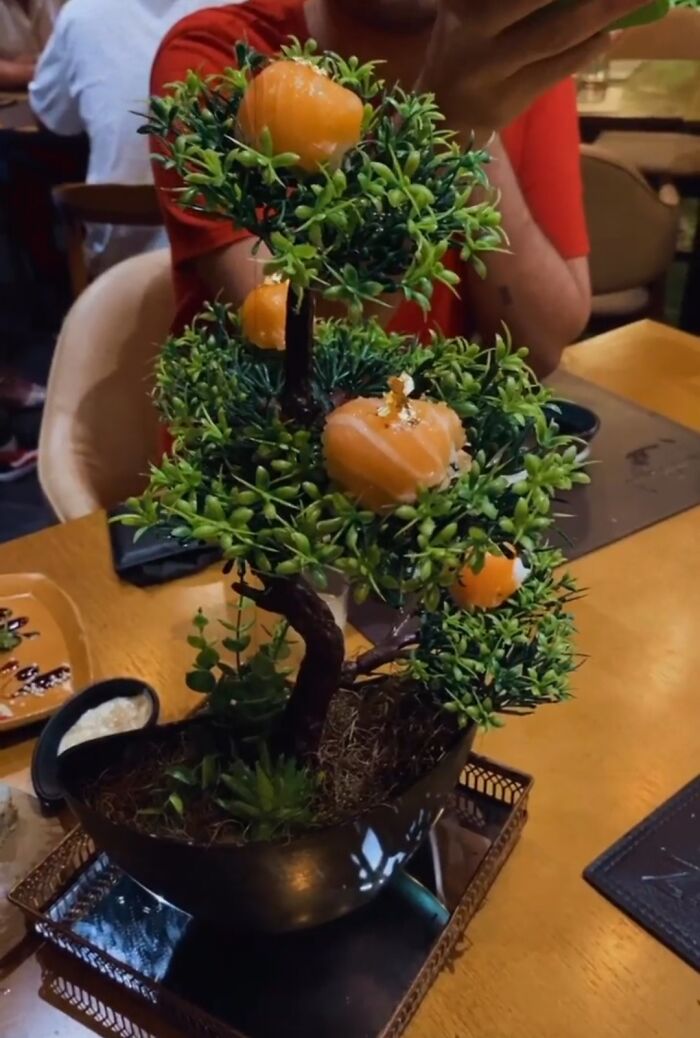 Guys... Sushi On A Tree