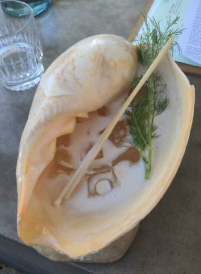 A Cocktail In A Shell