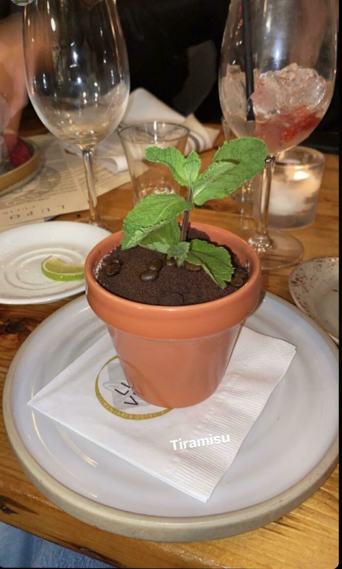 Tiramisu In A Pot For Plants. And Some Mint Leaves. Stop It