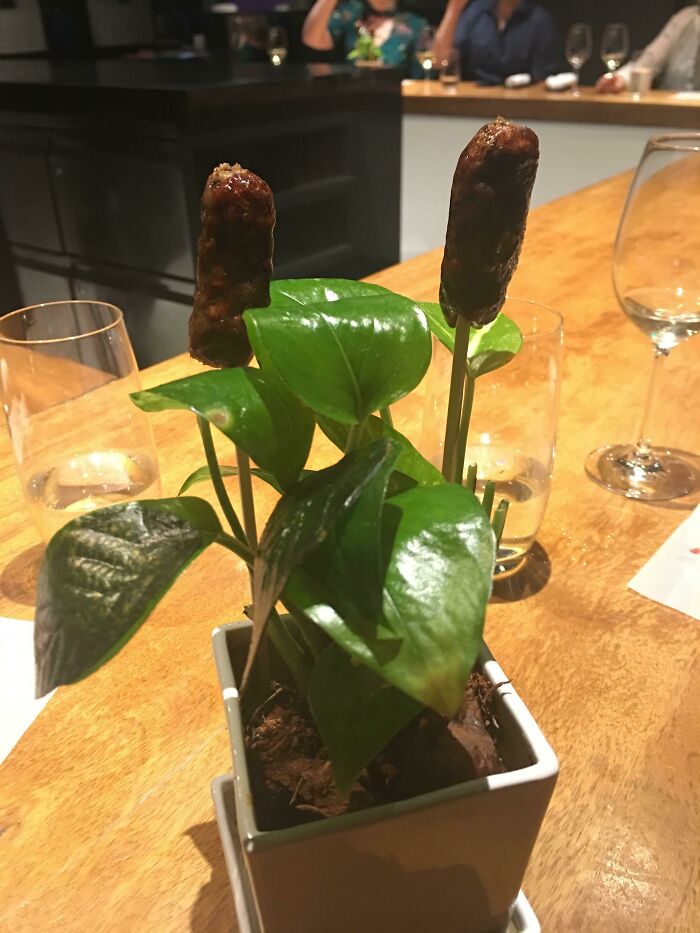 Sausages Served In A House Plant
