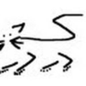 meredithottens avatar