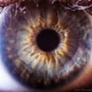 juneforbes100 avatar