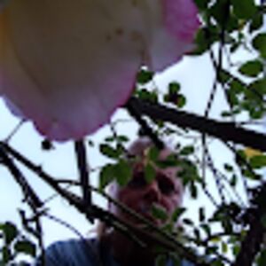 marjgorrell72 avatar