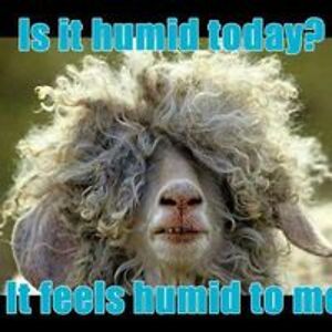 bridget_blash avatar