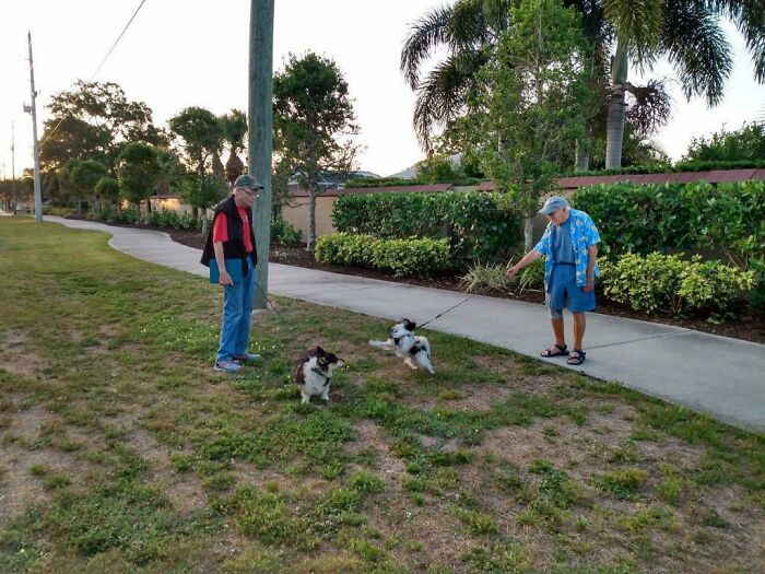 Found Out Today My Great-Uncle (Right) Is Dog Walking Buddies With Stephen King