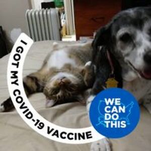 lynettepelletier avatar