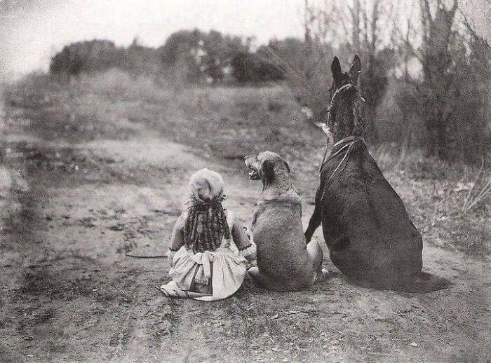 A Girl, A Dog, A Mule. From The 1921 Silent Film "Through The Back Door" Staring Mary Pickford.