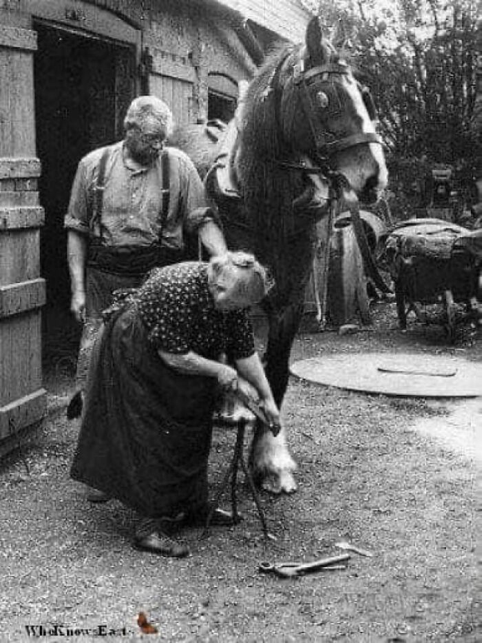 March 1938: 70-Year-Old Mrs Elizabeth Arnold, Believed To Be England's Only Woman Blacksmith, Shoes A Horse Outside The 400-Year-Old Forge In Walmer, Kent. (Photo By Fox Photos).