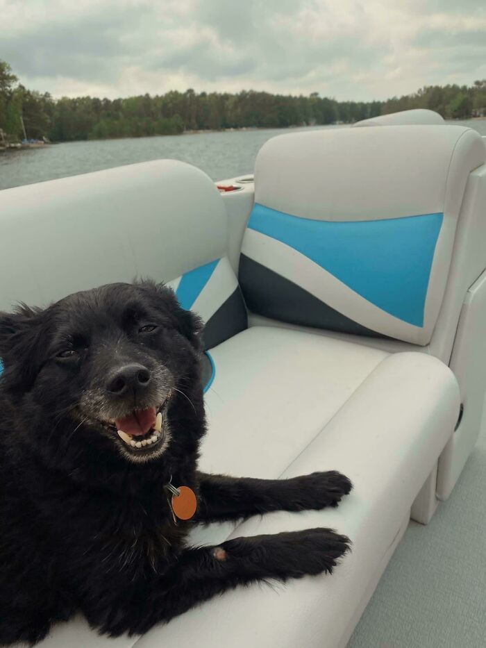 Took My Dog On His First Boat Ride Today And He Loved It 