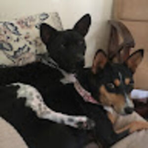 donnalafornia avatar