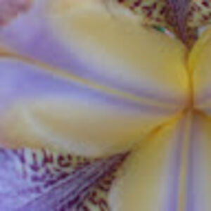 sarahmackenzie avatar