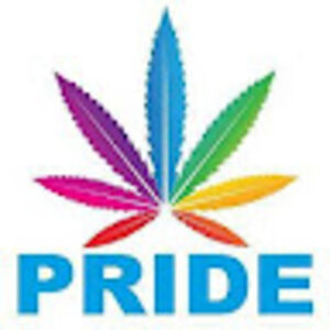 kammiliakorotzer avatar