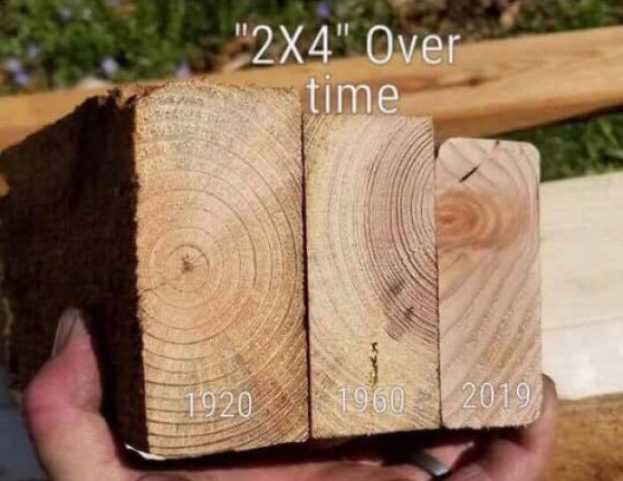 Everybody Who Uses Lumber Knows This Goes Waaaay Back. They're Even Rounding The Corners Now