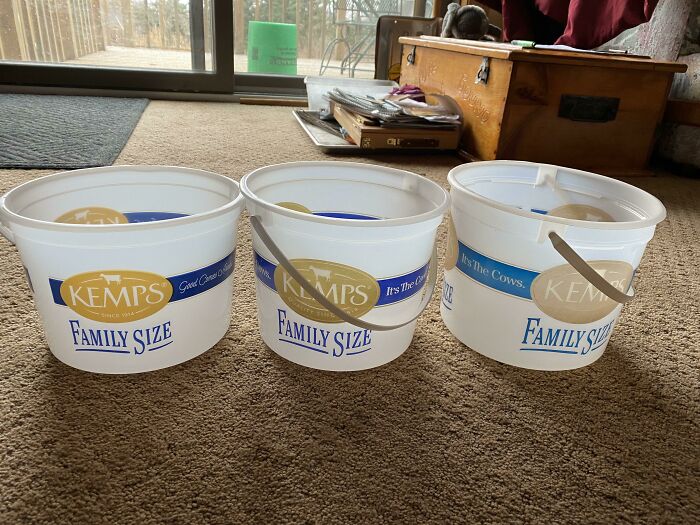 Three Different “Family Size” Kemp’s Ice Cream