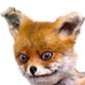 aboslutusbruhusmomentus avatar