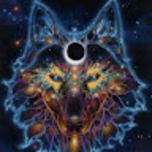 shadow_wolf avatar
