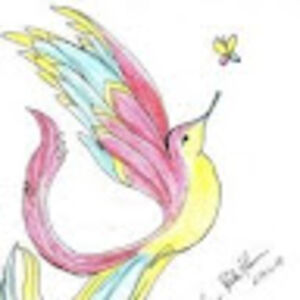 sophiagreenwald avatar