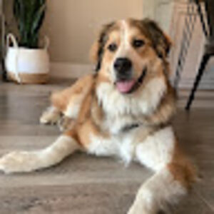 canaanmoerman avatar